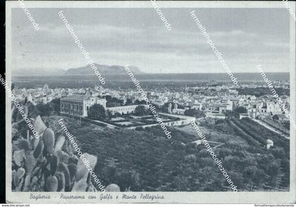 ab780  cartolina bagheria panorama con golfo e monte pellegrino palermo