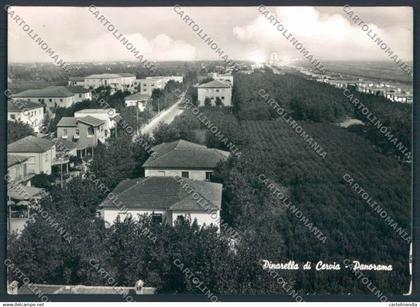 Ravenna Pinarella di Ravenna Cervia foto FG cartolina ZF4756