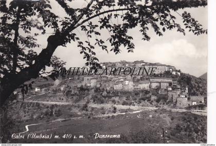 CALVI: Panorama    1958