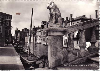 #CHIOGGIA:  CANALE VENA