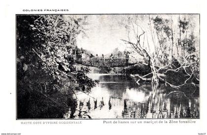 Côte d'Ivoire - Pont de Lianes