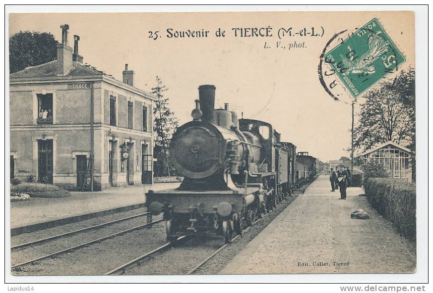 J 741 /CPA   TIERCE  (49)  SOUVENIR DE TIERCE   LA GARE