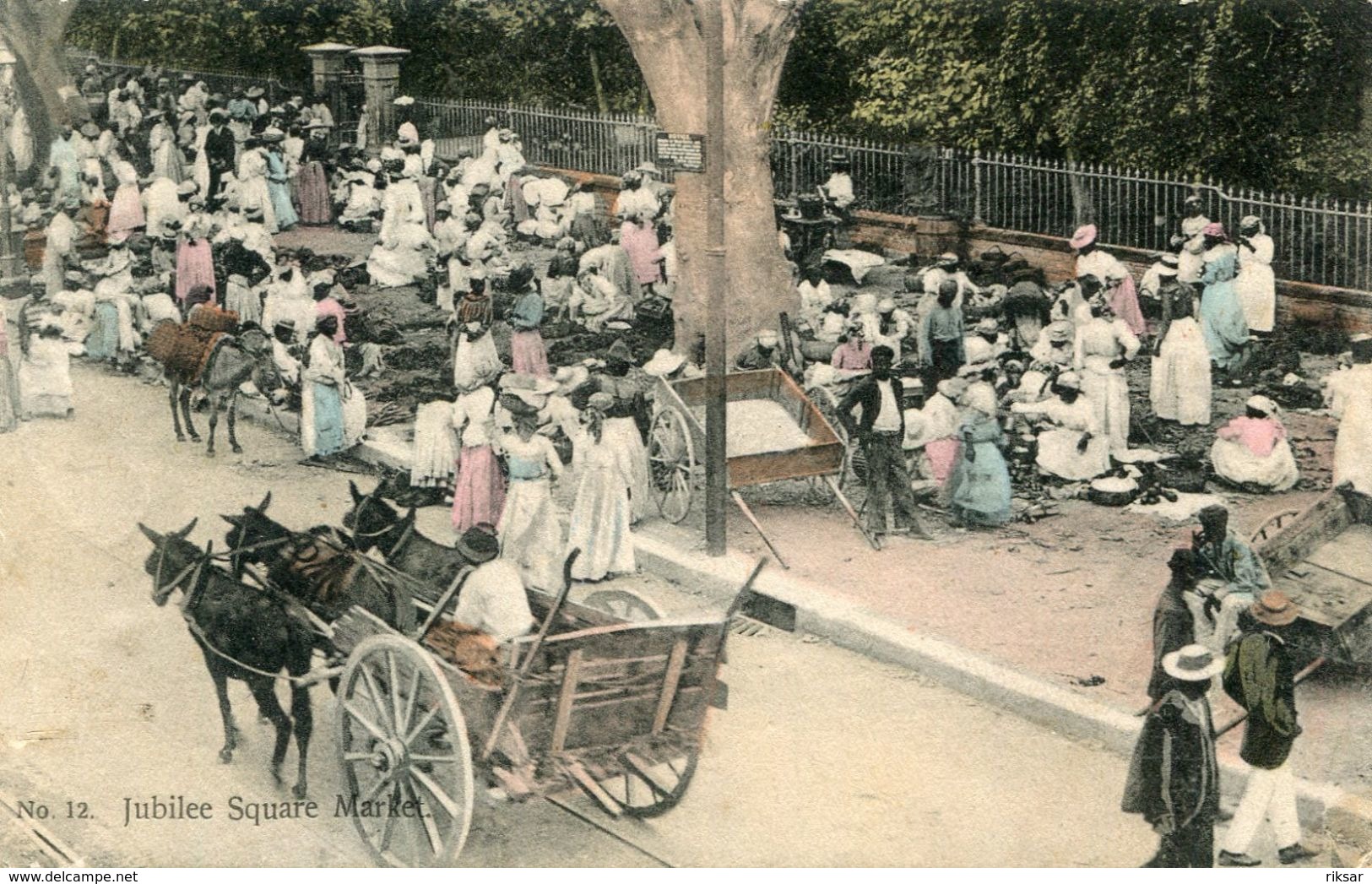 JAMAIQUE(MARCHE)