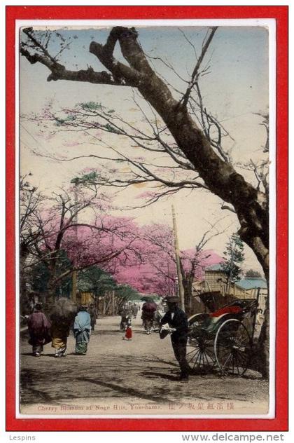 ASIE - JAPON --  YOKOHAMA -- Cherry blossom at hill