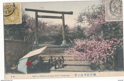 YOKOHAMA - N° Y 39 - CHERRY BLOSSOM AT NOGE HILL