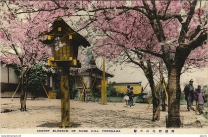 PC CPA YOKOHAMA cherry blossoming Noge Hill JAPAN (a17709)