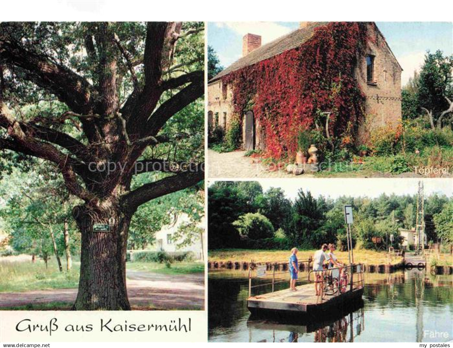 Kaisermuehl Muellrose Brandenburg Alter Baum Toepferei Faehre