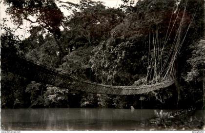 Kamerun . Pont de Lianes