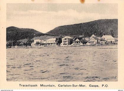 QUEBEC - TRACADIGASH MOUNTAIN, CARLETON SUR MER, GASPE