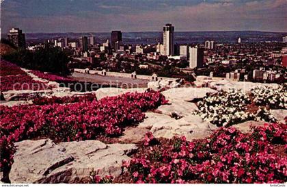 72766569 Hamilton Ontario Sam Lawrence Park overlooking Hamilton City