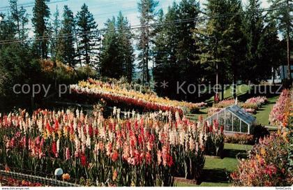 73131685 British Columbia Kimerley Cominco Garden British Columbia