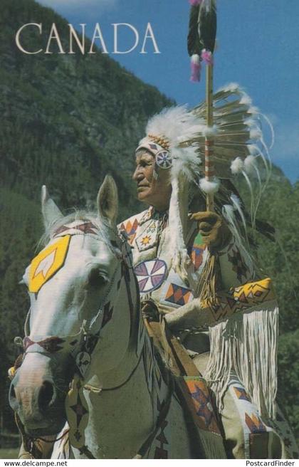 Alberta Canada Hunting Alberta Cree Indian White Horse Headdress Postcard