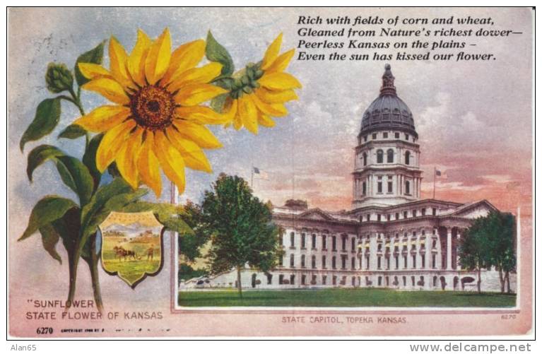 Kansas State Capitol Building , State Flower Sunflower, Topeka KS on c1910s Vintage  Postcard