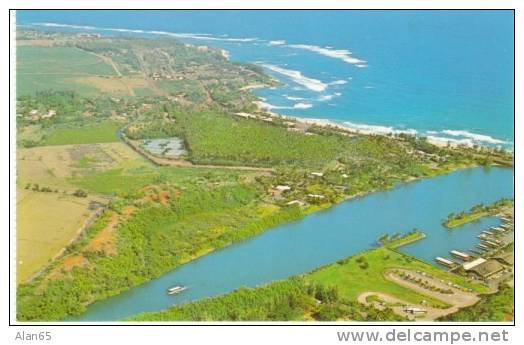 Kapaa Kauai HI Hawaii, Wailua River &amp; Marina, Coconut Plantation, c1970s Vintage Postcard