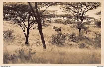 Kenya - Rhinoceros - REAL PHOTO - Publ. unknown