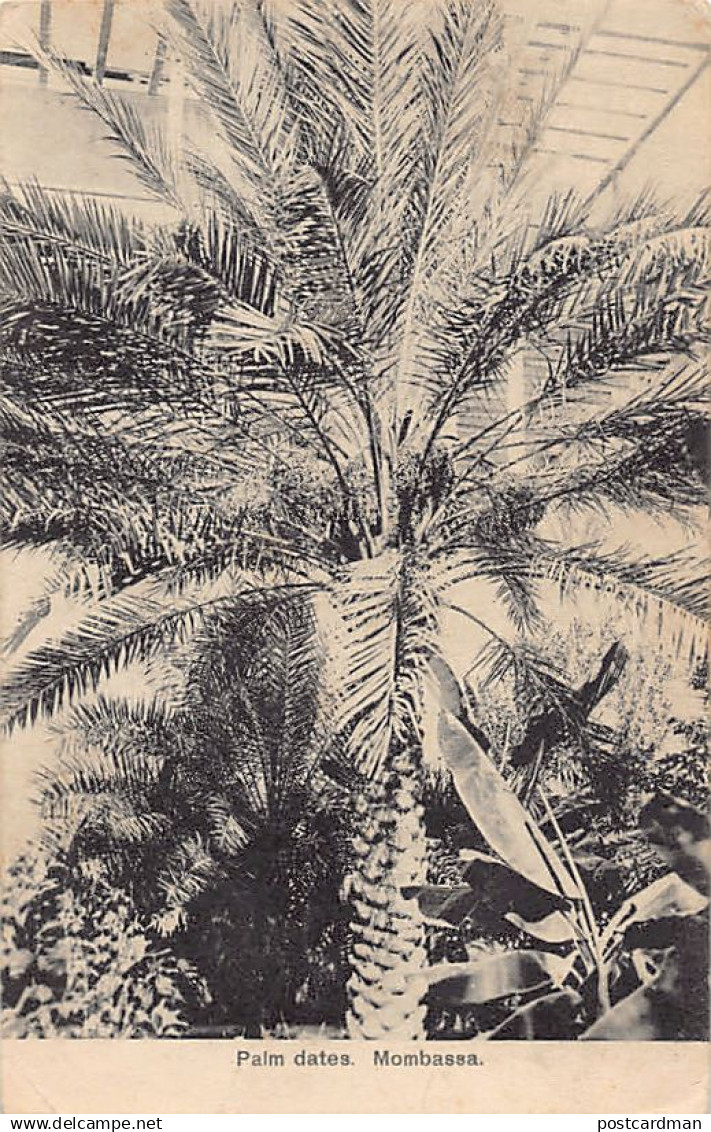 Kenya - MOMBASA - Palm Dates - Publ. Felix Coutinho