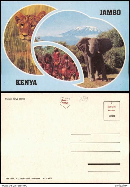 Postcard _Allgemein MB Kenia Kenya Löwe, Elefant - Jambo 1980