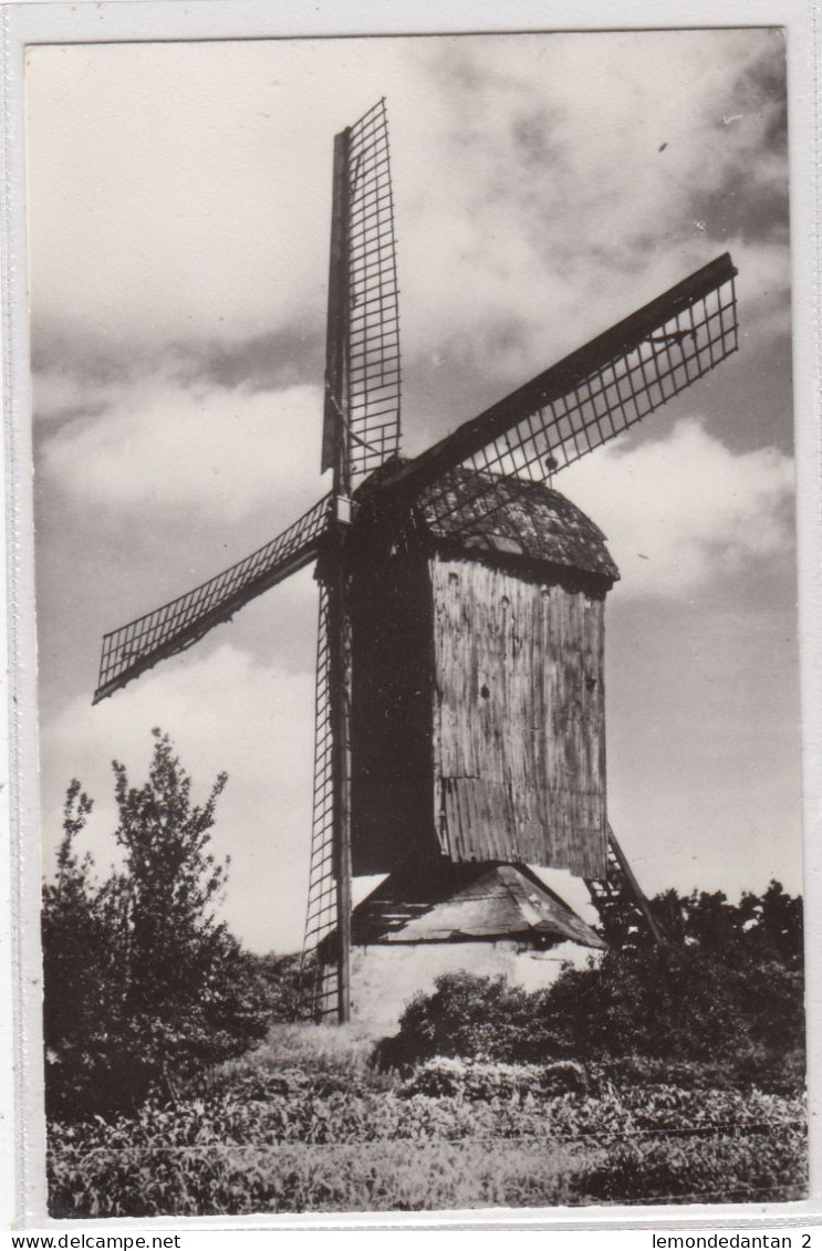 Knesselare. Pieten Dries-Molen. *