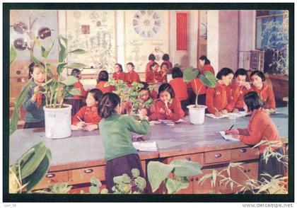 109061 / Pyongyang - Pioneer , BOTANY PLANTS - North Korea Corée du Nord PC mint postcard AK