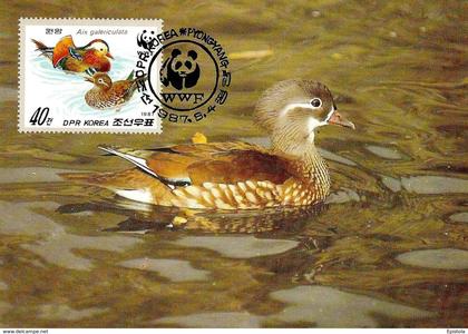 1987 - DPR KOREA - NORTH KOREA - Corée du Nord  조선민주주의인민공화국 - Mandarin Duck Canard