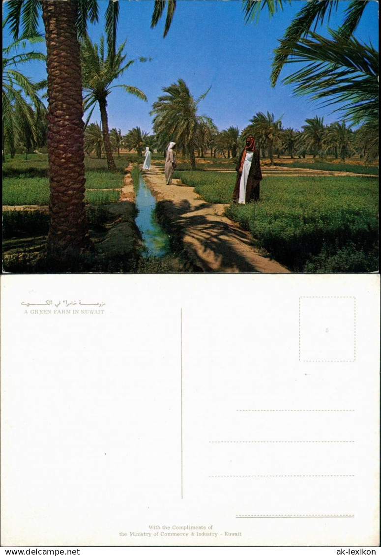 Kuwait-Stadt الكويت A GREEN FARM IN KUWAITالكويت 1976