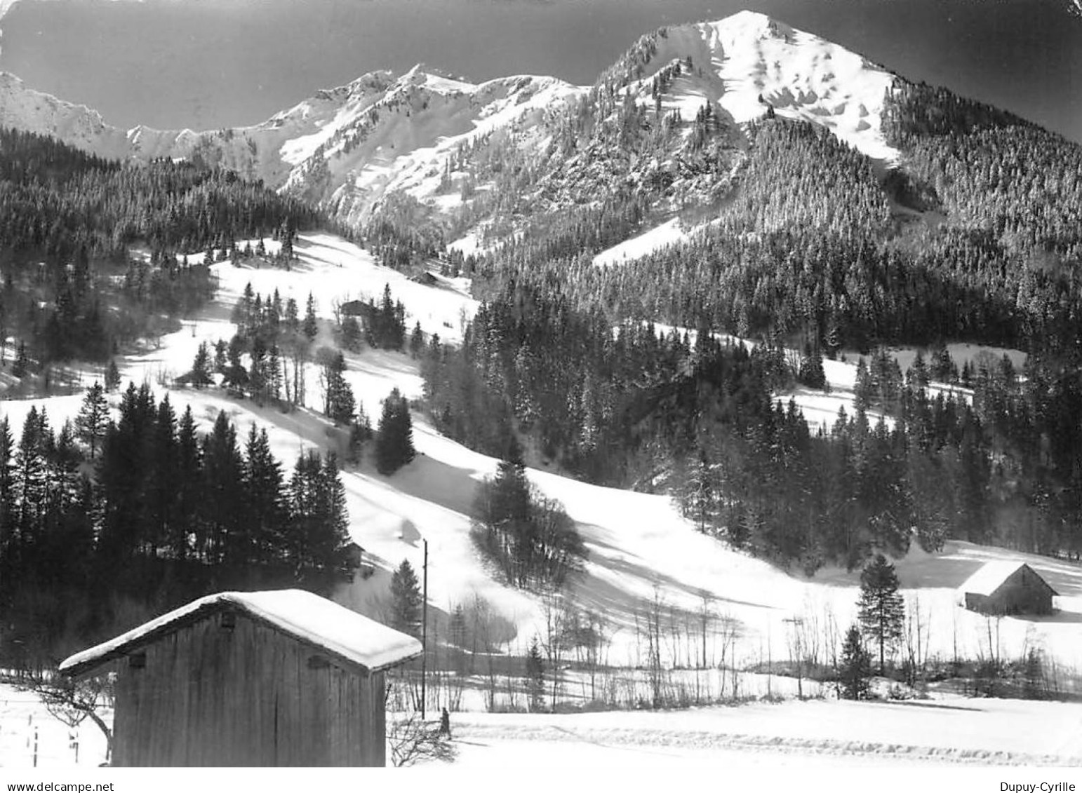 LA CHAPELLE D'ABONDANCE - Le Mont de Grange - état