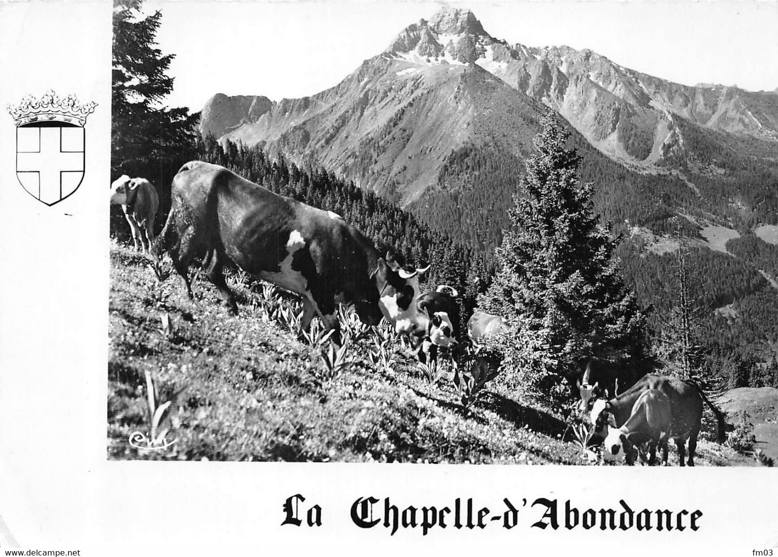 la Chapelle d'Abondance vaches