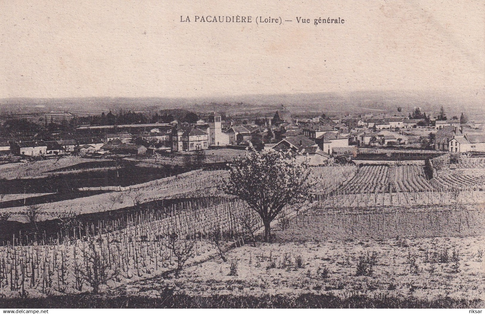 LA PACAUDIERE