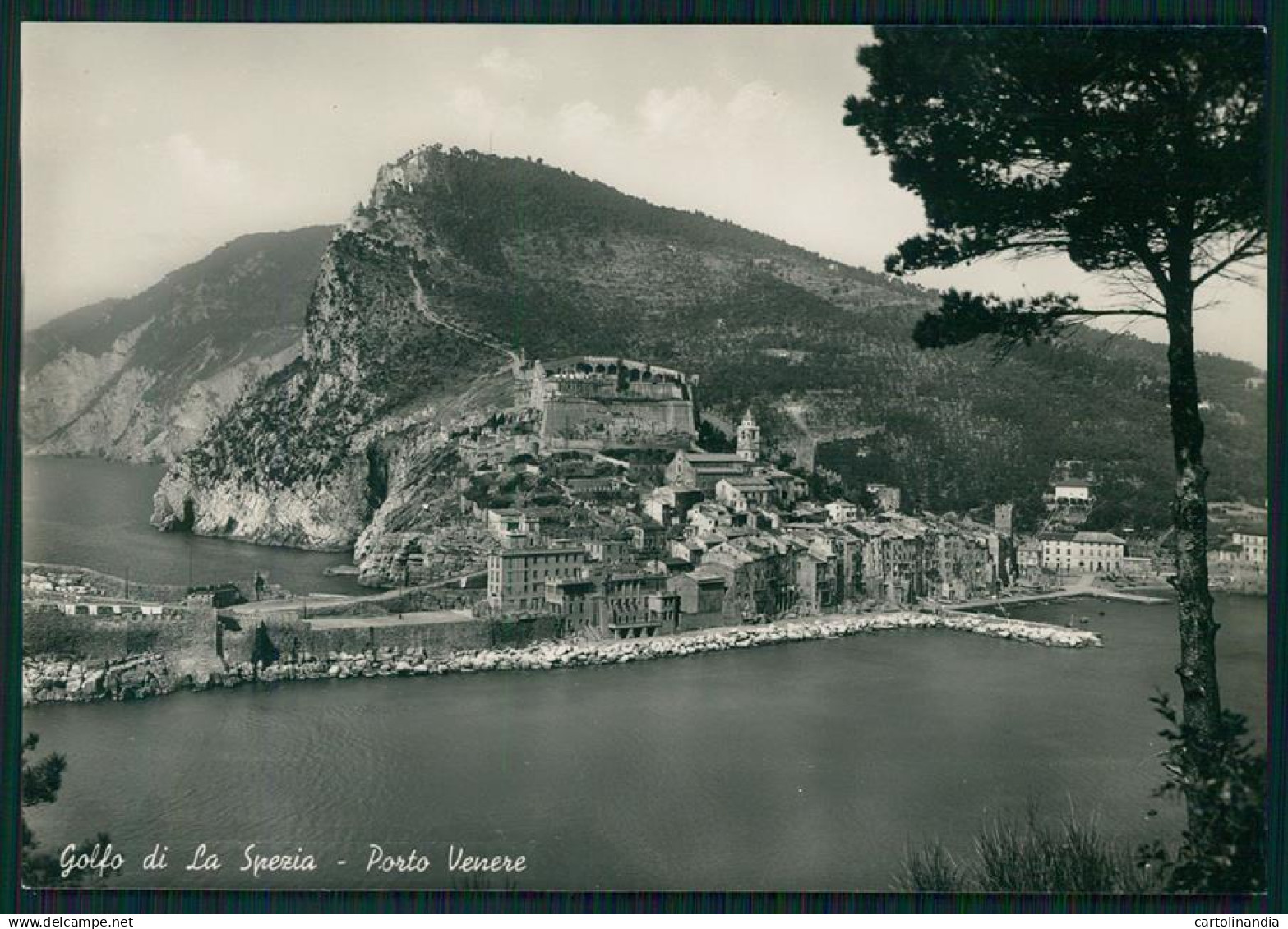 La Spezia Porto Venere Golfo della Spezia Foto FG cartolina MZ4802