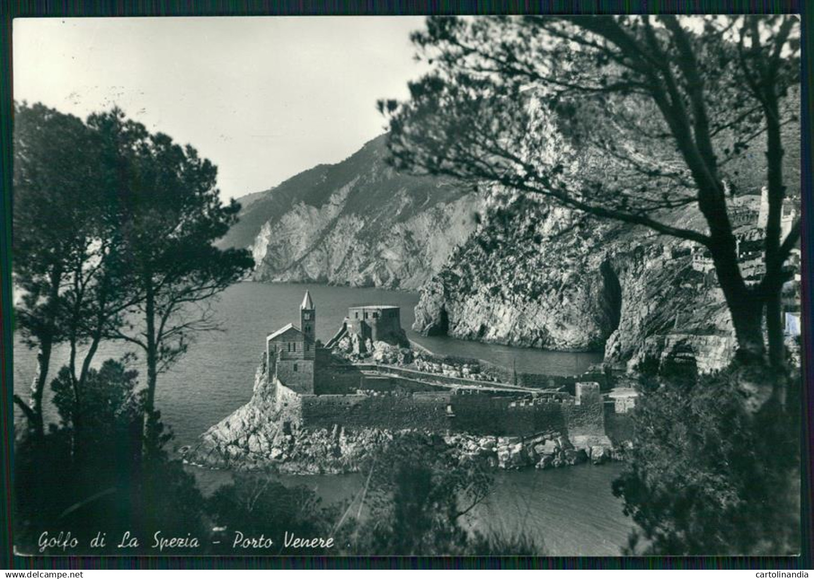 La Spezia Porto Venere Golfo della Spezia Foto FG cartolina MZ4804