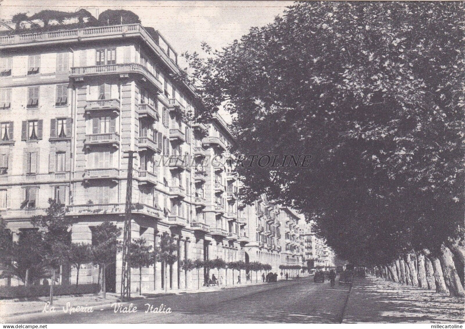 LA SPEZIA - Viale Italia