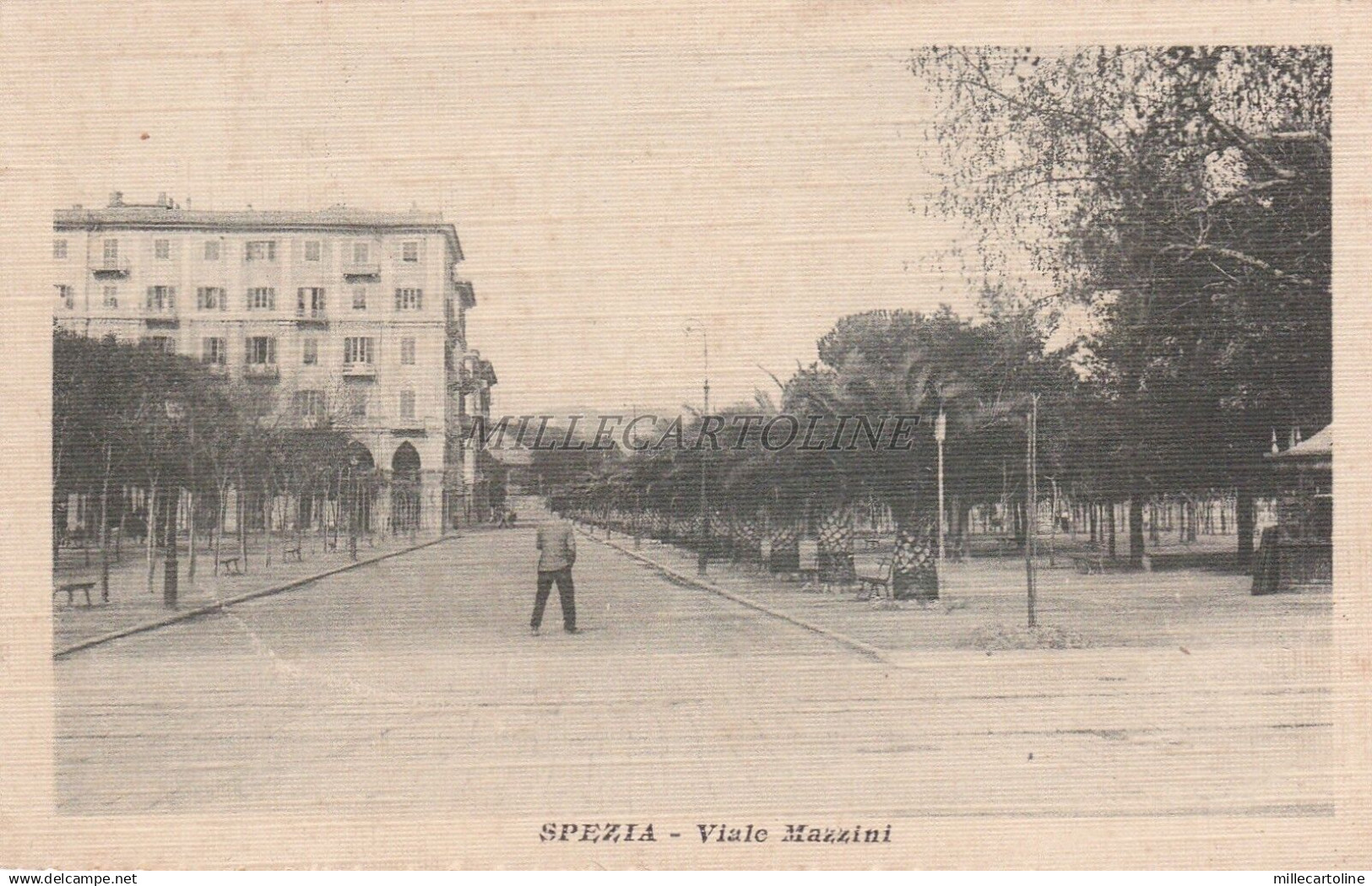 LA SPEZIA - Viale Mazzini