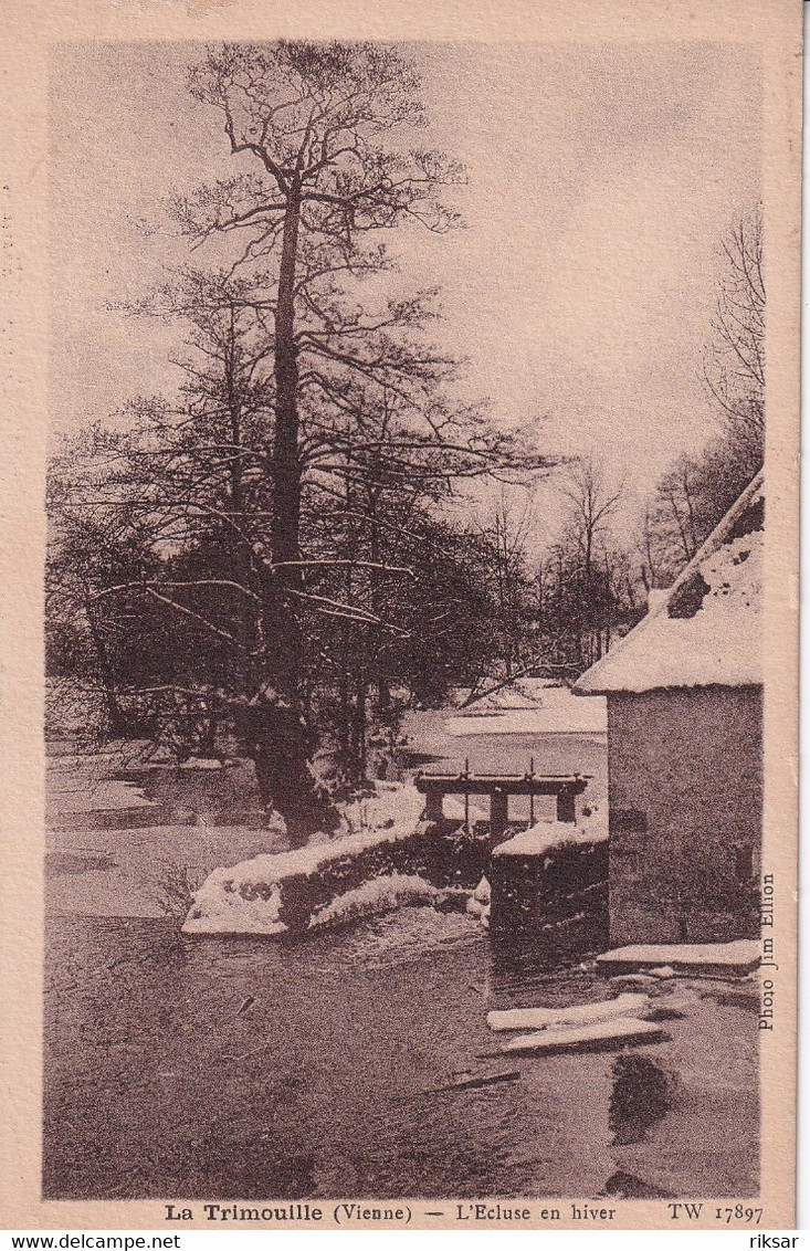 LA TRIMOUILLE(ARBRE) NEIGE