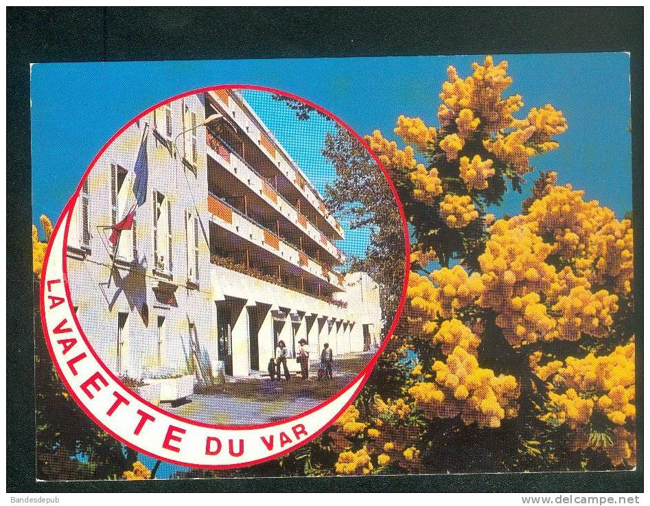 La Valette du Var (83) ( animée résidence mairie ?? mimosa Editions Gai Soleil)