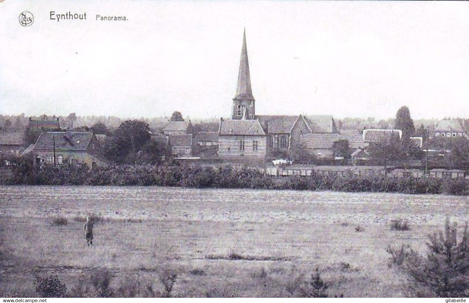 Laakdal - EYNTHOUT - EINHOUT - panorama