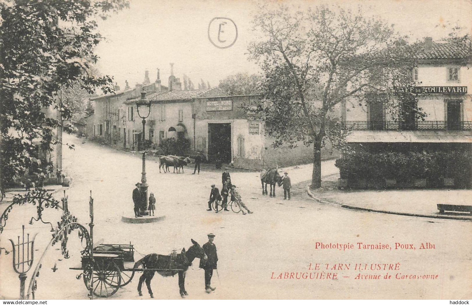 LABRUGUIERE - AVENUE DE CARCASSONNE