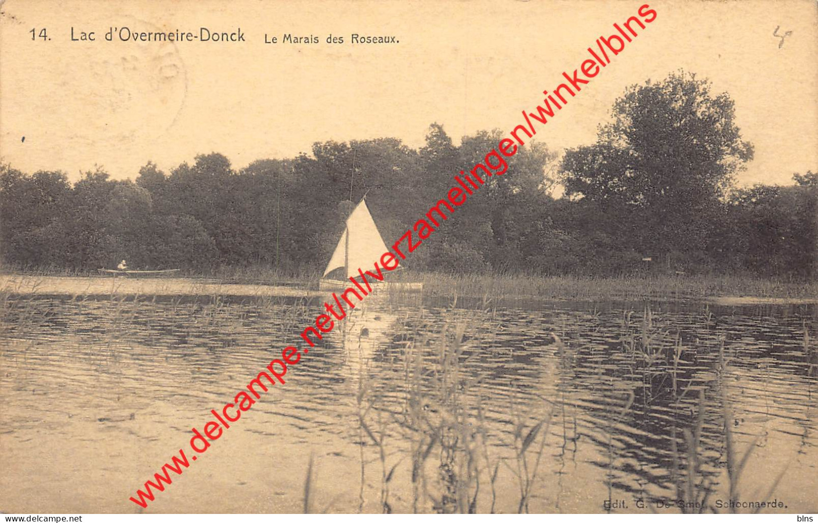 Lac d'Overmeire-Donck - Le Marais des Roseaux - Berlare