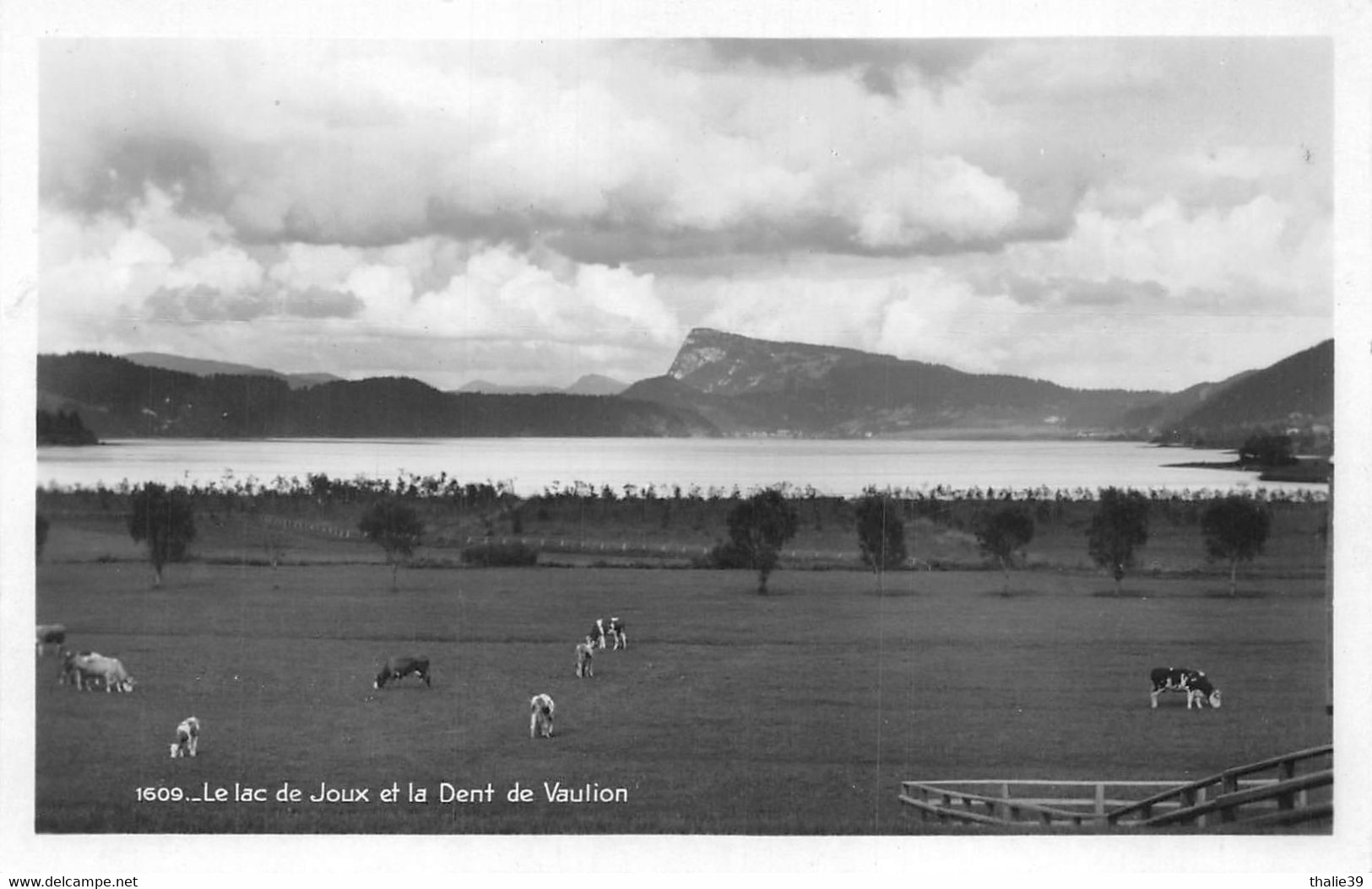 Lac de Joux le Chenit vaches 1609 Michaux