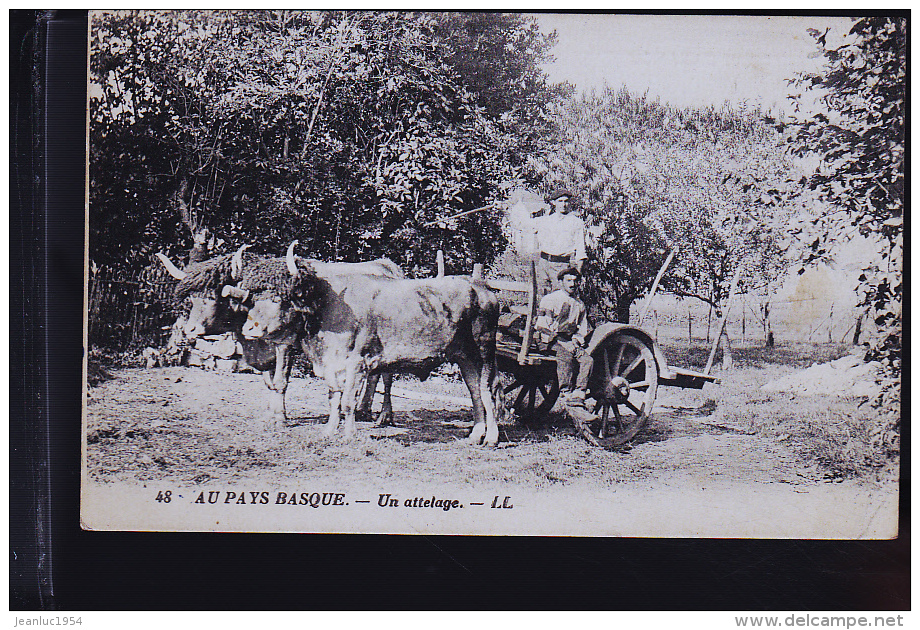 LANNEMEZAN ATTELAGE