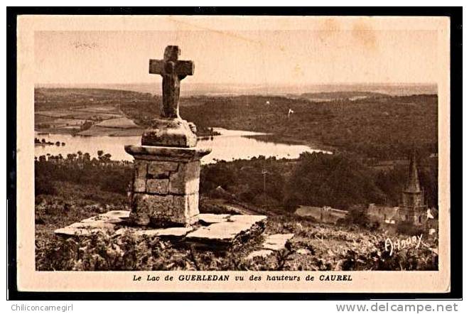 Le lac de Guerledan vu des Hauteurs de Caurel ( N 102 )