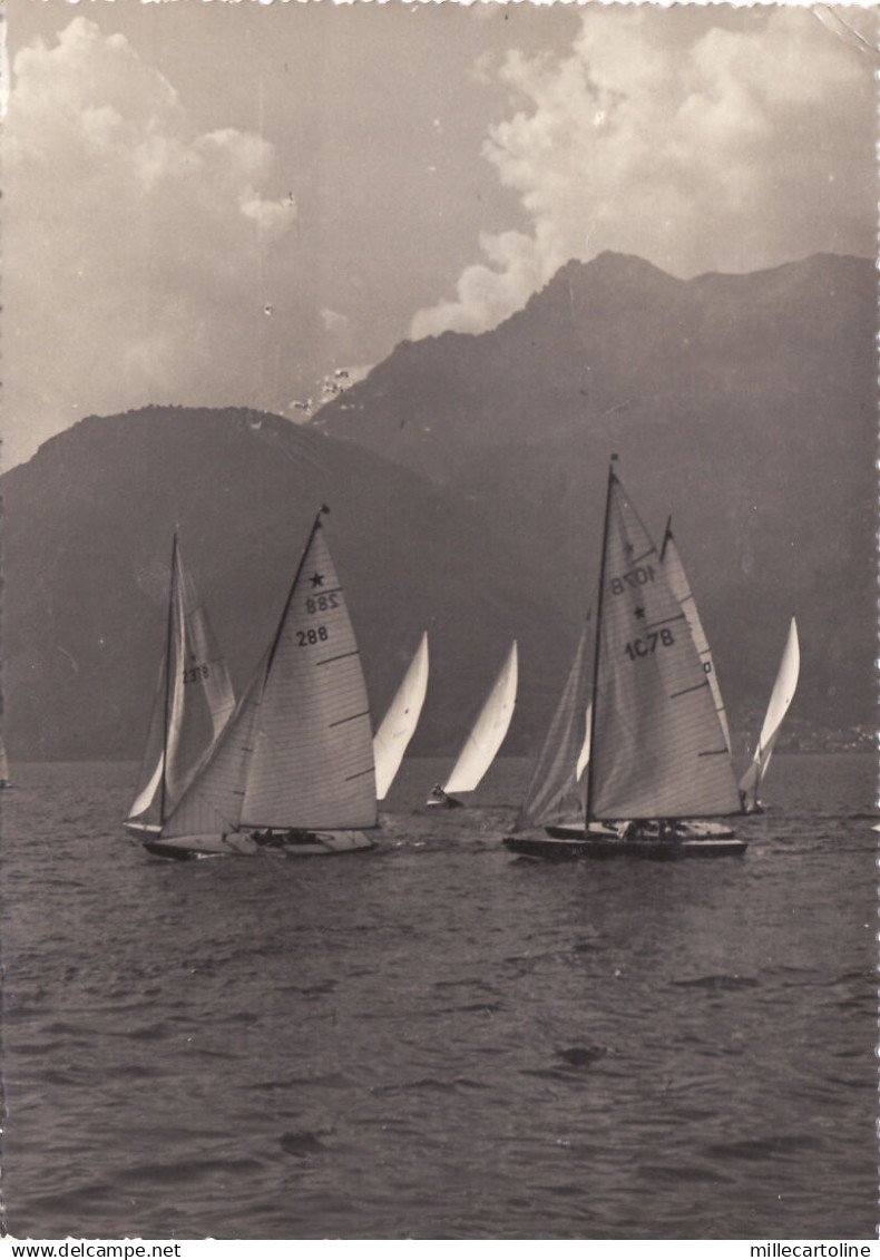 #LECCO: REGATA