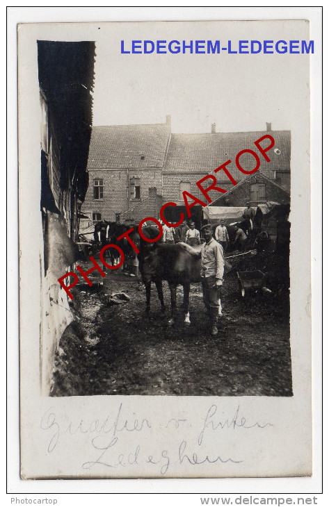 LEDEGEM-Quartier allemand-Vue de Derriere-Chevaux-Animatio n-CARTE PHOTO allemande-Guerre 14-18-1WK-BELGIEN-Flander n-