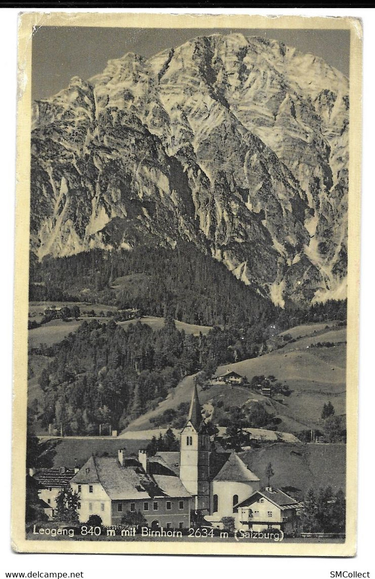 Leogang mit Birnhorn (11393)