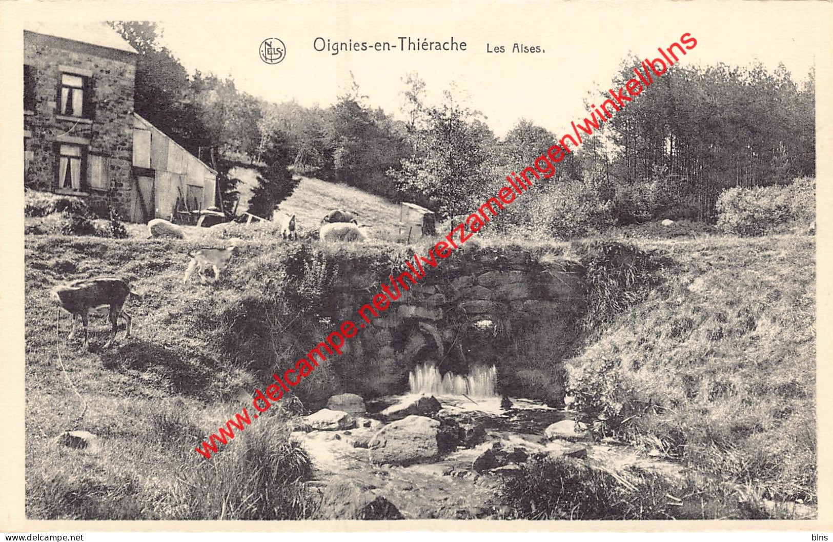 Les Aises - Oignies-en-Thiérache Viroinval