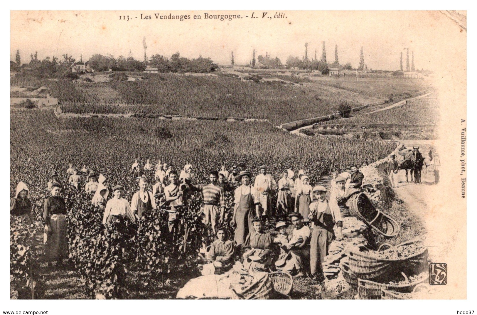 Les Vendanges en Bourgogne