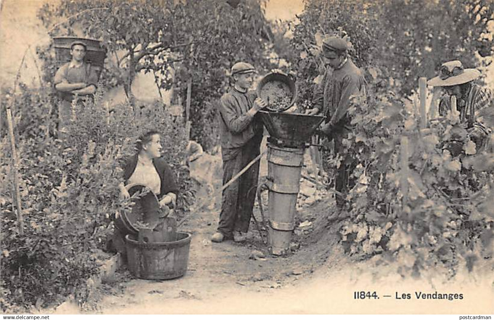 Les Vendanges - Viticulture dans le canton de Vaud - Ed. CPN 11844.