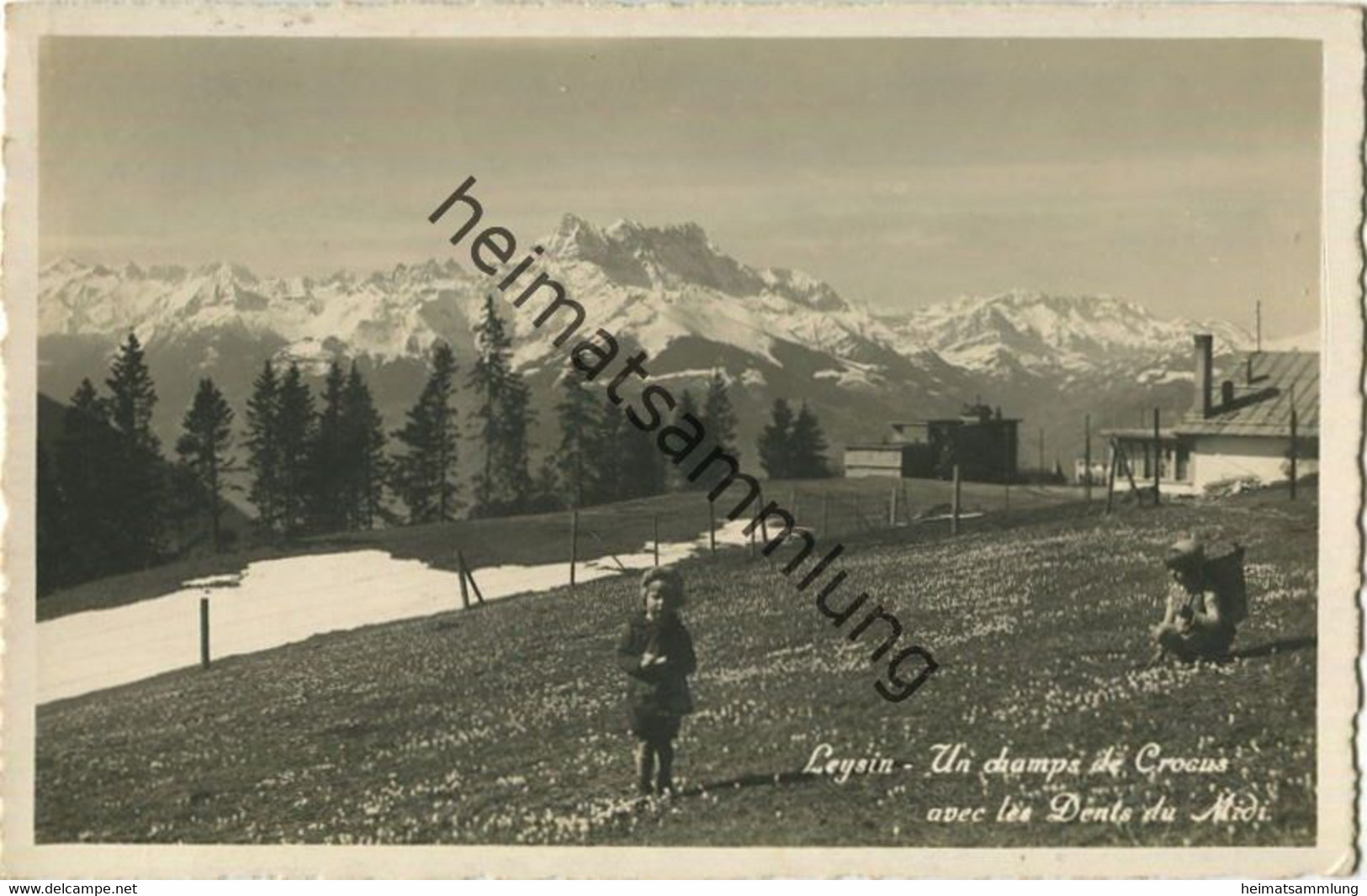 Leysin - Foto-AK - Verlag E. Kull Leysin gel. 1932