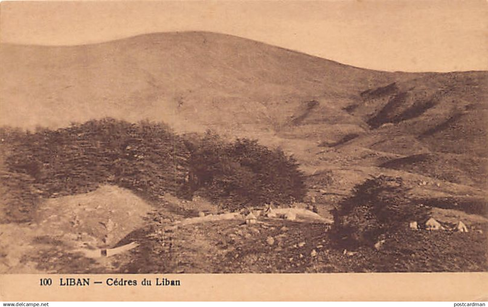 Liban - Cèdres du Liban - Ed. Joseph Zablith 100