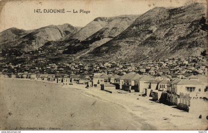 Djounié