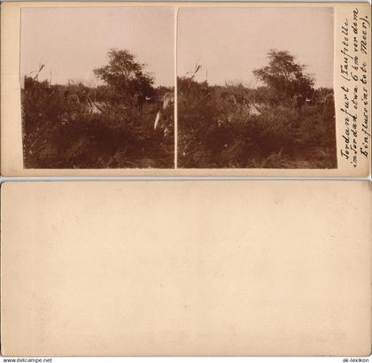 Libanon Taufstelle Jordanfurt Rotes Meer CDV Kabinettfoto 1909  Stereoskopie